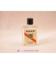Adam