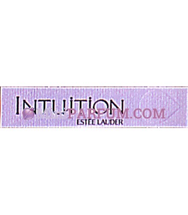 Intuition