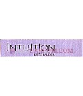 Intuition
