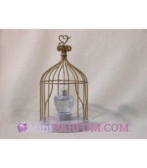 La cage (sans boîte)