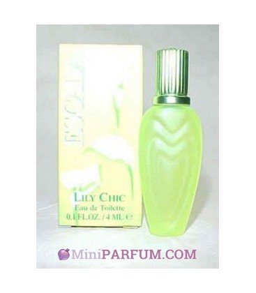 Lily Chic