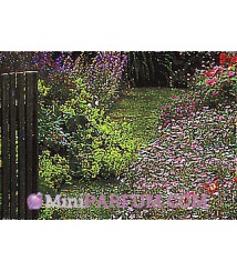 Jardin de Soleil