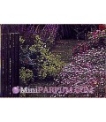 Escada Jardin de Soleil