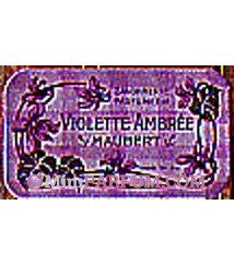 Violette Ambrée