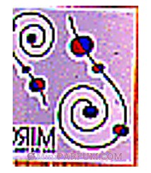 Miro