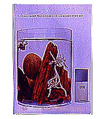 L'Eau de D'Issey pour Homme