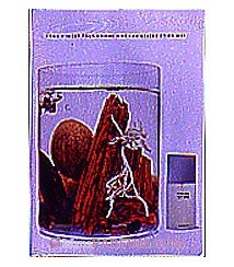 L'Eau de D'Issey pour Homme