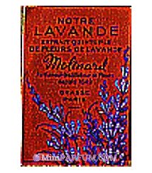 Lavande