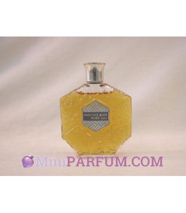 Narcisse bleu de Mury
