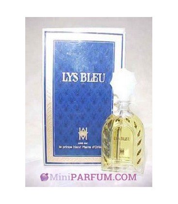 Lys Bleu