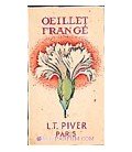 Œillet Frangé