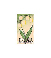 Muguet