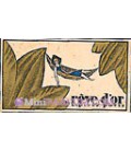 Rêve d'Or