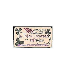 Le Trèfle Incarnat