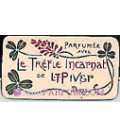 Le Trèfle Incarnat