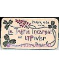 Le Trèfle Incarnat