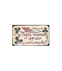 Le Trèfle Incarnat