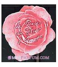 La Rose du Jour d'Avant