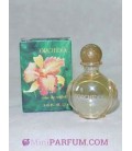 Orchidée
