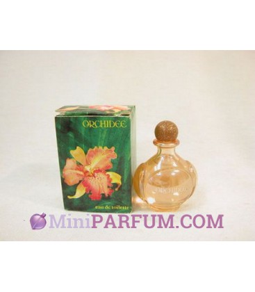 Orchidée