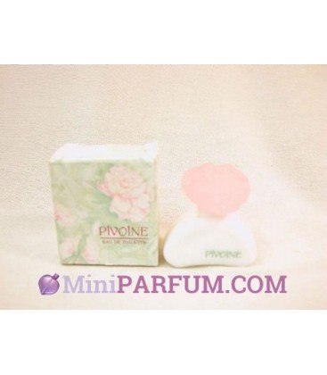 Pivoine
