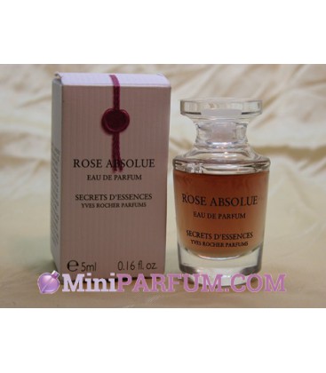 Rose Absolue