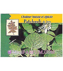 Patchouli de Java