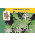 Patchouli de Java