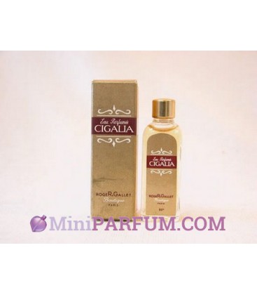 Cigalia