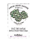 Suc de Laitue