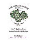 Suc de Laitue