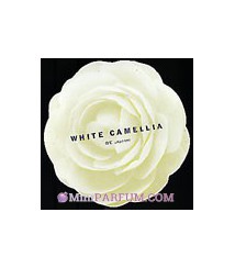 White Camellia