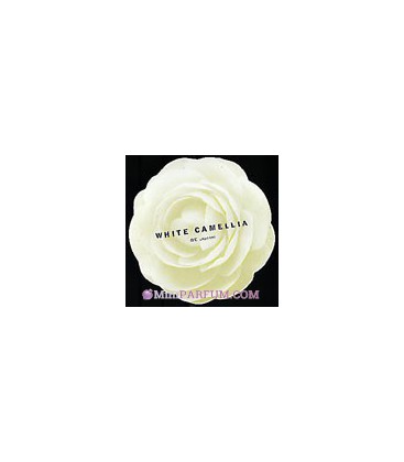White Camellia