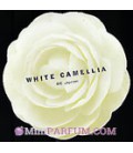 White Camellia