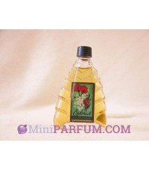 Mimosa