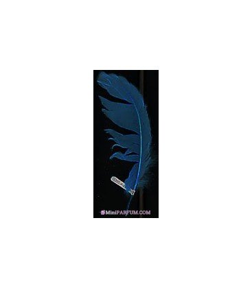 Plume Yves Saint Laurent