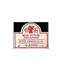 ROSE CENTIFOLIA