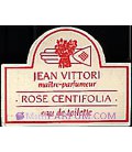 ROSE CENTIFOLIA