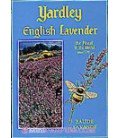 English Lavender