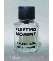 Fleeting Moment