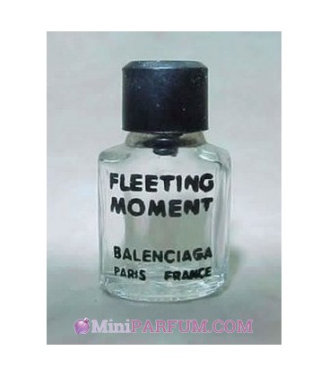 Fleeting Moment