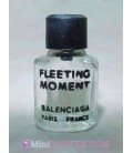 Fleeting Moment