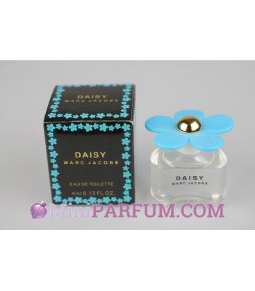 Daisy - Fleur bleue