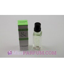 Thé vert & Bigarade