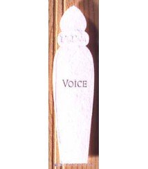 Voice