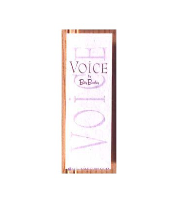 Voice