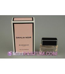 Dahlia noir