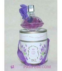 Violettes de Toulouse