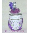 Violettes de Toulouse