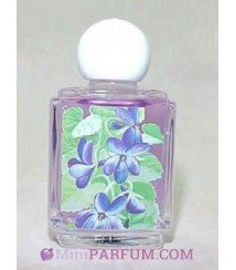 Violettes de Toulouse